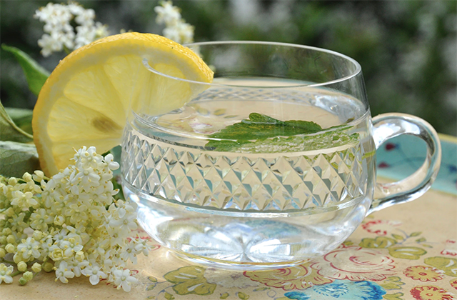 elderberry flower